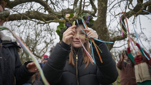 A young wassailer taking part in the festivities ties ribbons to an apple tree.